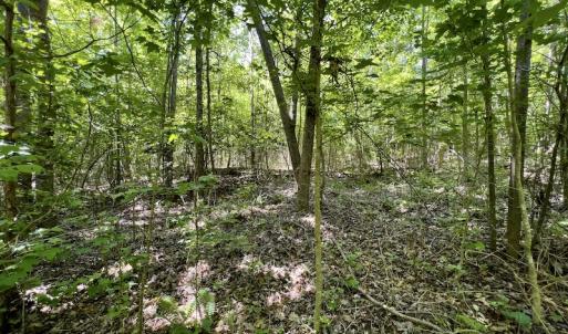Photo #21 of Off Henschel Lane, Broadway, NC 12.0 acres