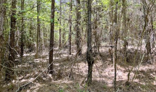 Photo #22 of Off Henschel Lane, Broadway, NC 12.0 acres