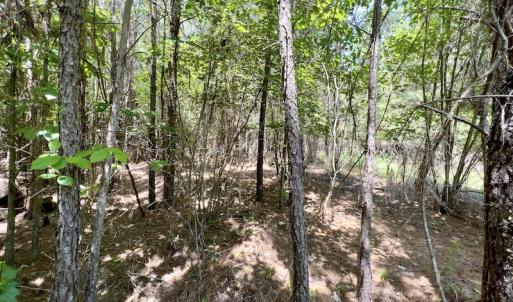 Photo #23 of SOLD property in Off Henschel Lane, Broadway, NC 12.0 acres