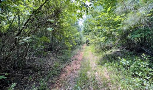 Photo #24 of SOLD property in Off Henschel Lane, Broadway, NC 12.0 acres