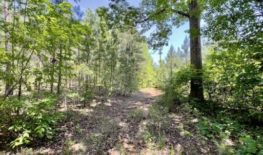 Photo #25 of SOLD property in Off Henschel Lane, Broadway, NC 12.0 acres