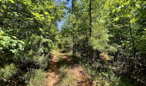 Photo #26 of SOLD property in Off Henschel Lane, Broadway, NC 12.0 acres