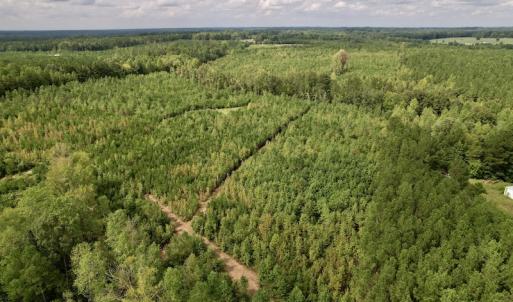 Photo #9 of SOLD property in Off Ronald Tharrington Road, Louisburg, NC 15.8 acres