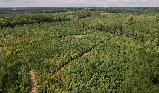 Photo #10 of SOLD property in Off Ronald Tharrington Road, Louisburg, NC 15.8 acres