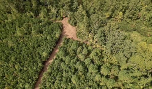 Photo #12 of SOLD property in Off Ronald Tharrington Road, Louisburg, NC 15.8 acres