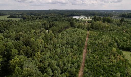 Photo #13 of SOLD property in Off Ronald Tharrington Road, Louisburg, NC 15.8 acres