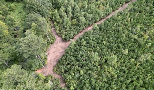Photo #14 of SOLD property in Off Ronald Tharrington Road, Louisburg, NC 15.8 acres