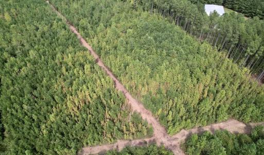 Photo #19 of SOLD property in Off Ronald Tharrington Road, Louisburg, NC 15.8 acres