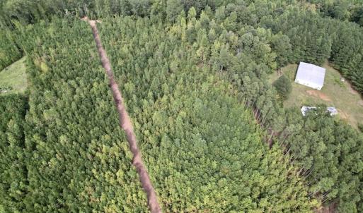 Photo #21 of SOLD property in Off Ronald Tharrington Road, Louisburg, NC 15.8 acres