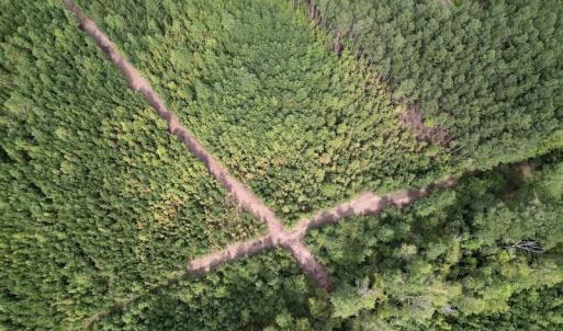 Photo #22 of SOLD property in Off Ronald Tharrington Road, Louisburg, NC 15.8 acres