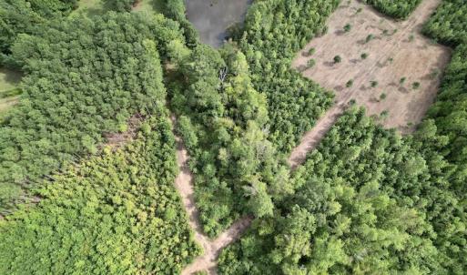 Photo #23 of SOLD property in Off Ronald Tharrington Road, Louisburg, NC 15.8 acres