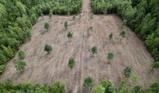 Photo #24 of SOLD property in Off Ronald Tharrington Road, Louisburg, NC 15.8 acres