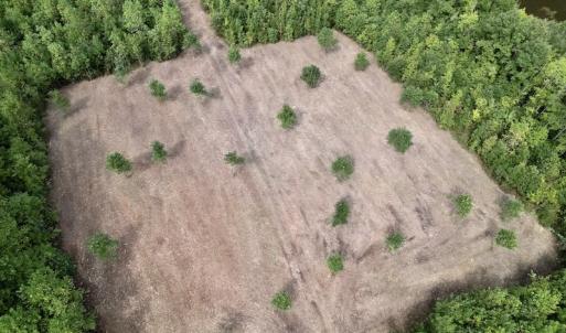 Photo #25 of SOLD property in Off Ronald Tharrington Road, Louisburg, NC 15.8 acres