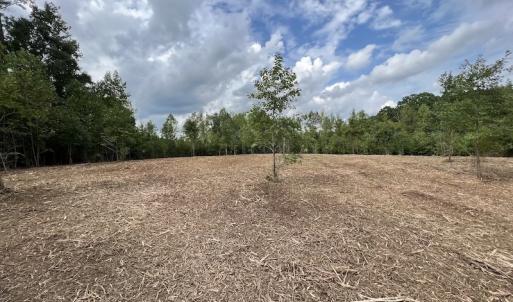 Photo #29 of SOLD property in Off Ronald Tharrington Road, Louisburg, NC 15.8 acres
