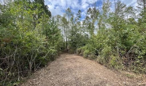 Photo #31 of SOLD property in Off Ronald Tharrington Road, Louisburg, NC 15.8 acres
