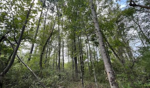Photo #33 of SOLD property in Off Ronald Tharrington Road, Louisburg, NC 15.8 acres