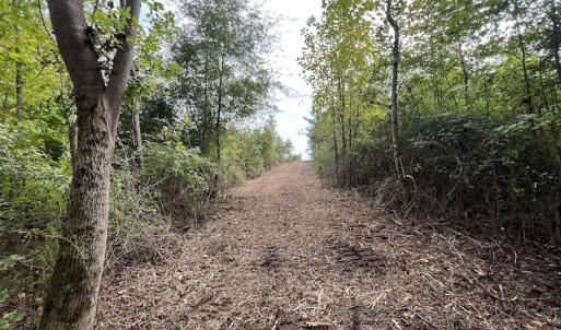 Photo #34 of SOLD property in Off Ronald Tharrington Road, Louisburg, NC 15.8 acres