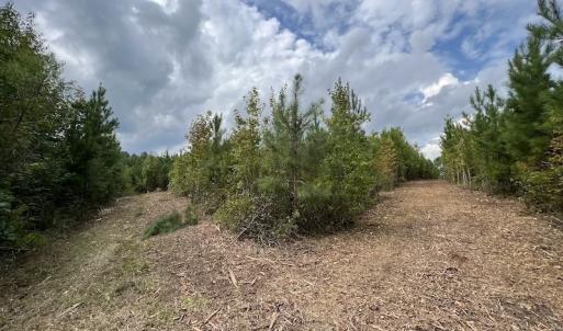 Photo #36 of SOLD property in Off Ronald Tharrington Road, Louisburg, NC 15.8 acres