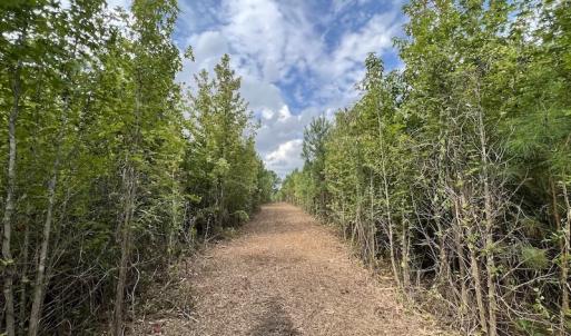 Photo #37 of SOLD property in Off Ronald Tharrington Road, Louisburg, NC 15.8 acres