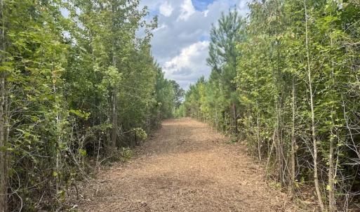 Photo #38 of SOLD property in Off Ronald Tharrington Road, Louisburg, NC 15.8 acres