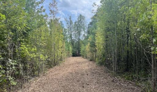 Photo #39 of SOLD property in Off Ronald Tharrington Road, Louisburg, NC 15.8 acres