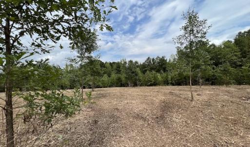 Photo #40 of SOLD property in Off Ronald Tharrington Road, Louisburg, NC 15.8 acres