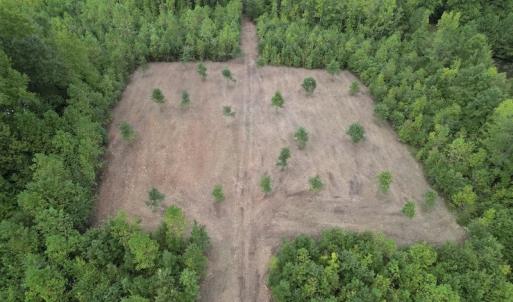 Photo #4 of SOLD property in Off Ronald Tharrington Road, Louisburg, NC 15.8 acres