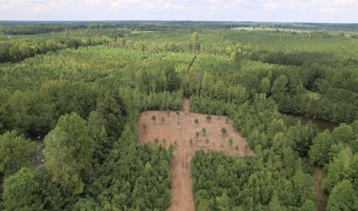 Photo #6 of SOLD property in Off Ronald Tharrington Road, Louisburg, NC 15.8 acres