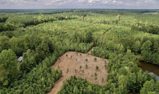 Photo #7 of SOLD property in Off Ronald Tharrington Road, Louisburg, NC 15.8 acres