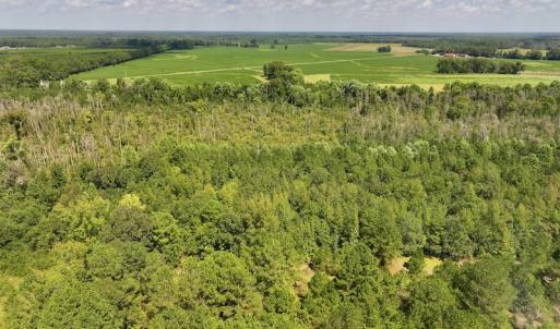 Photo #2 of SOLD property in Off Richland Drive, Pembroke, NC 6.8 acres
