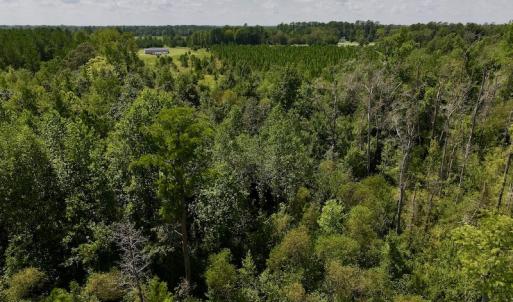 Photo #11 of SOLD property in Off Richland Drive, Pembroke, NC 6.8 acres