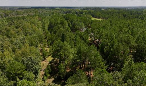 Photo #12 of SOLD property in Off Richland Drive, Pembroke, NC 6.8 acres