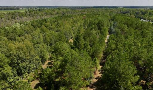 Photo #13 of SOLD property in Off Richland Drive, Pembroke, NC 6.8 acres