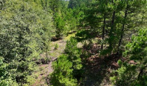 Photo #14 of SOLD property in Off Richland Drive, Pembroke, NC 6.8 acres