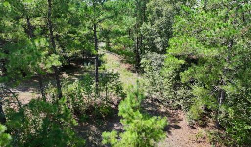 Photo #15 of SOLD property in Off Richland Drive, Pembroke, NC 6.8 acres