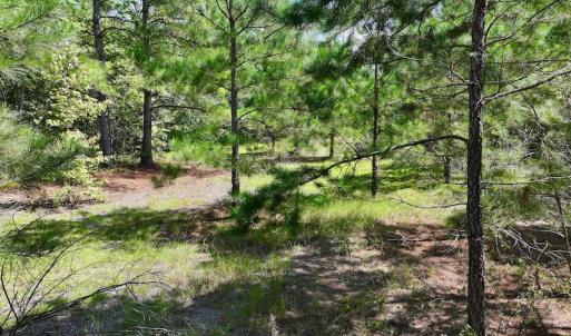 Photo #18 of SOLD property in Off Richland Drive, Pembroke, NC 6.8 acres
