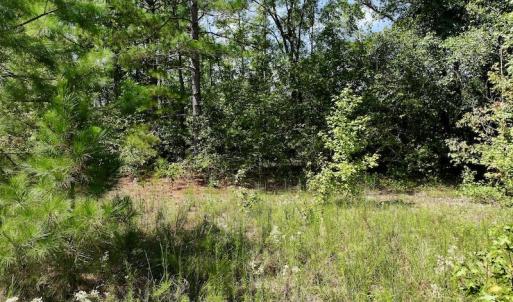 Photo #19 of SOLD property in Off Richland Drive, Pembroke, NC 6.8 acres