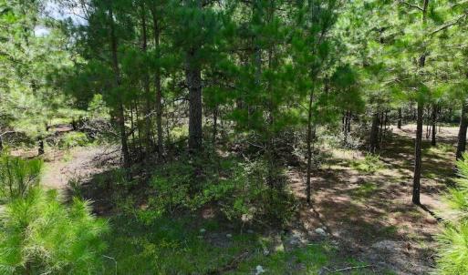 Photo #20 of SOLD property in Off Richland Drive, Pembroke, NC 6.8 acres