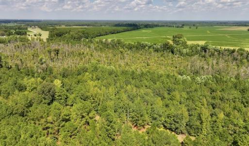 Photo #3 of SOLD property in Off Richland Drive, Pembroke, NC 6.8 acres