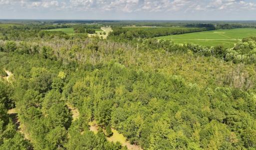 Photo #4 of SOLD property in Off Richland Drive, Pembroke, NC 6.8 acres