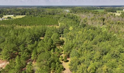 Photo #5 of SOLD property in Off Richland Drive, Pembroke, NC 6.8 acres