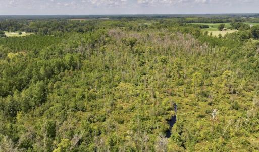 Photo #6 of SOLD property in Off Richland Drive, Pembroke, NC 6.8 acres