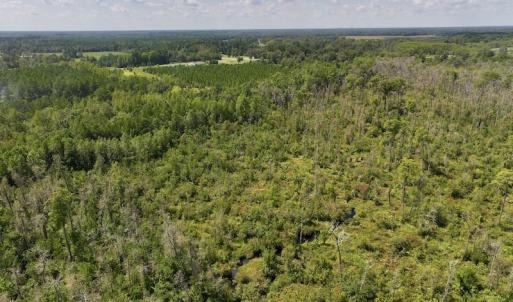 Photo #7 of SOLD property in Off Richland Drive, Pembroke, NC 6.8 acres