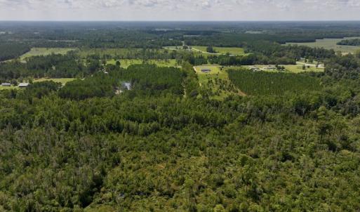Photo #8 of SOLD property in Off Richland Drive, Pembroke, NC 6.8 acres