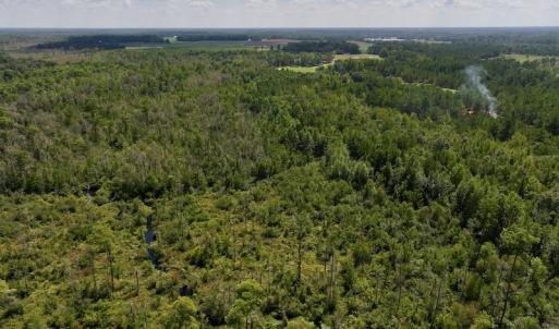 Photo #9 of SOLD property in Off Richland Drive, Pembroke, NC 6.8 acres