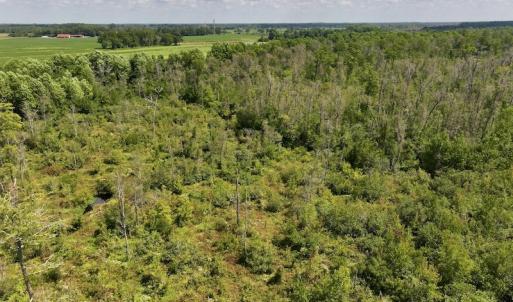 Photo #10 of SOLD property in Off Richland Drive, Pembroke, NC 6.8 acres