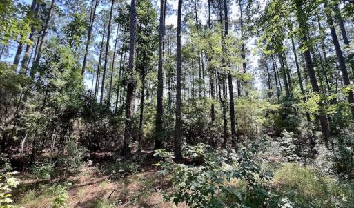 Photo #22 of Off Jarvis Landing Rd, Aurora, NC 8.3 acres