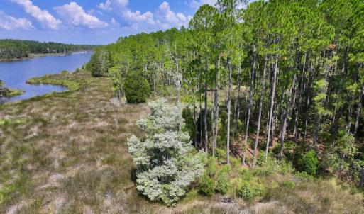Photo #32 of Off Jarvis Landing Rd, Aurora, NC 8.3 acres