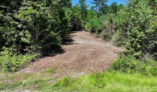 Photo #11 of Off Coon Myrick Rd, Littleton, NC 7.0 acres