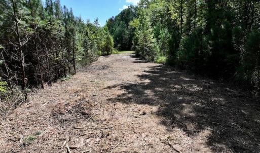 Photo #12 of Off Coon Myrick Rd, Littleton, NC 7.0 acres